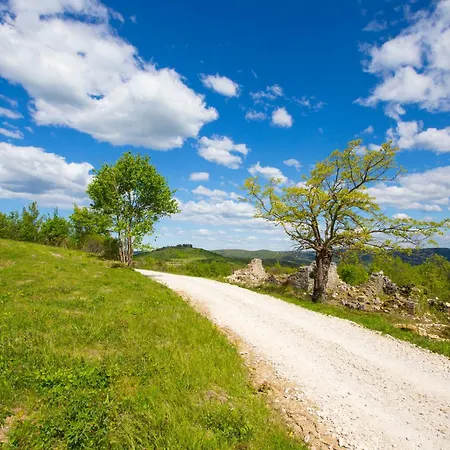 Fiore Spinovci * Rakotule