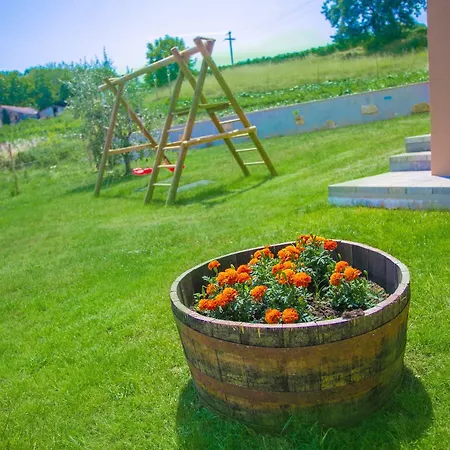 Fiore Spinovci Willa