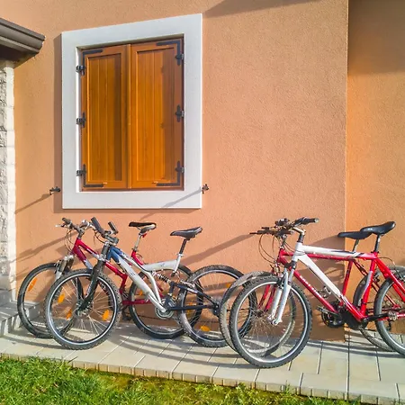 Fiore Spinovci Rakotule